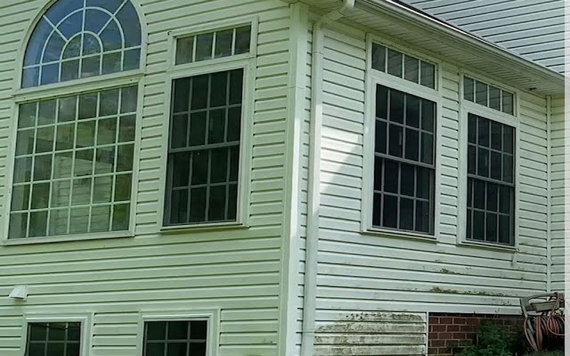 Moldy siding before power washing